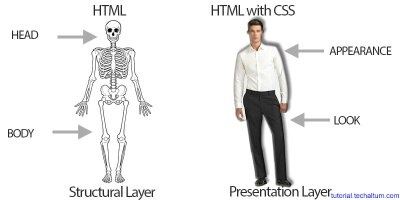 css1